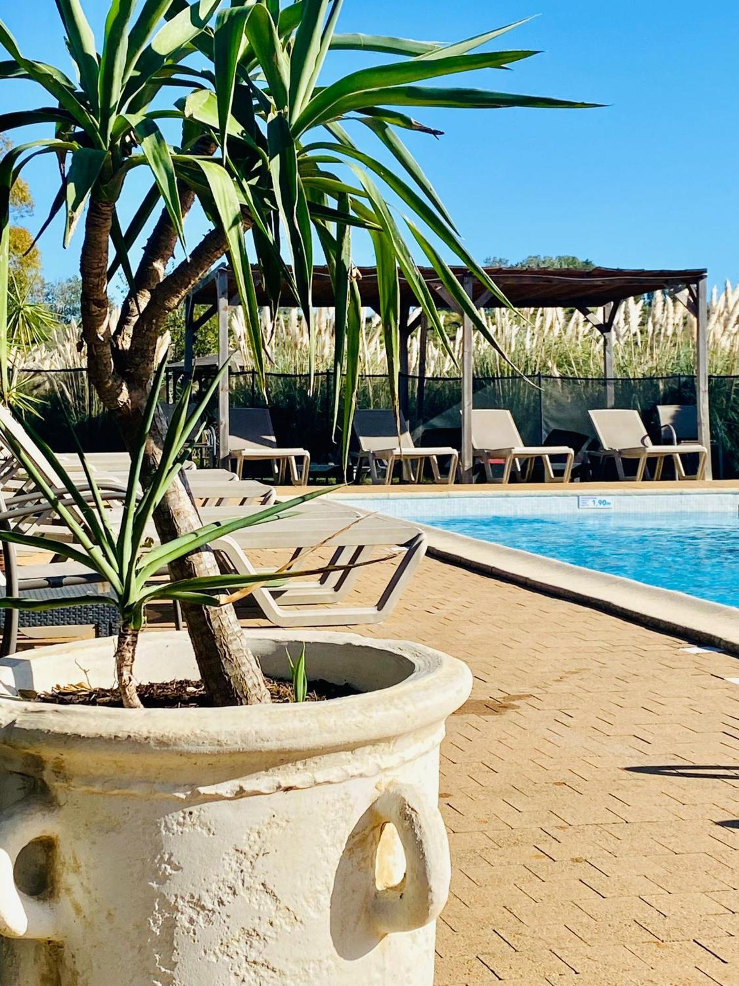 Hotel Le Mas Des Ponts D'Arles Ngoại thất bức ảnh