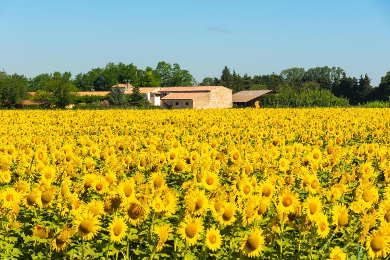 Hotel Le Mas Des Ponts D'Arles Ngoại thất bức ảnh